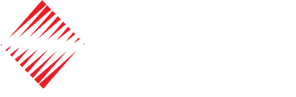 Wireless Voice & Data Logo
